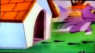 223 Tom and Jerry The new Episodes2000 clip5