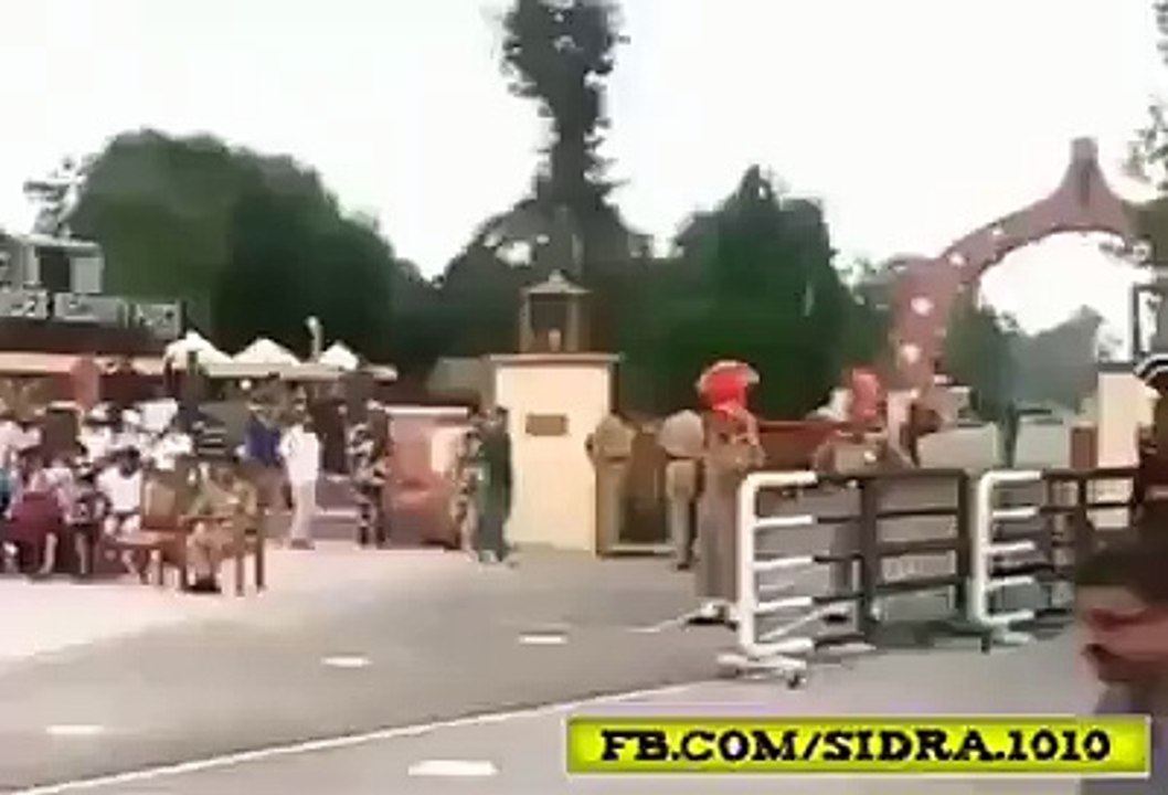 funny videos