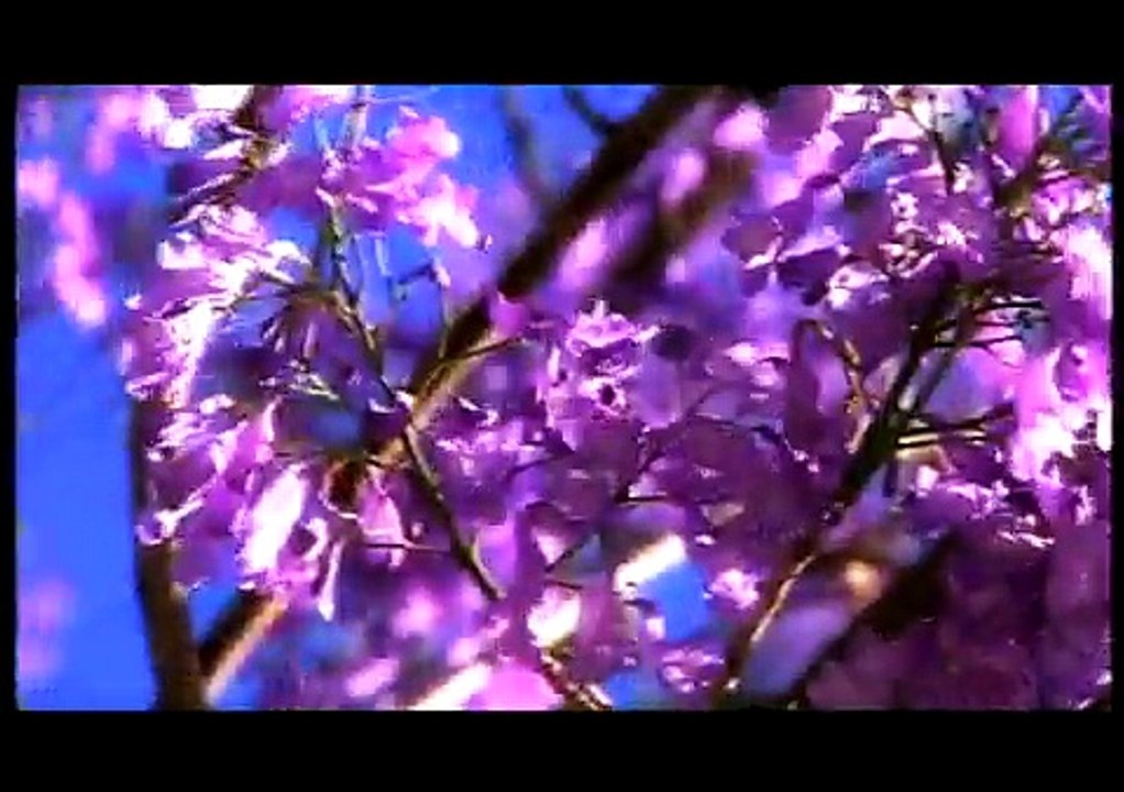 Swan Valley Western Australia