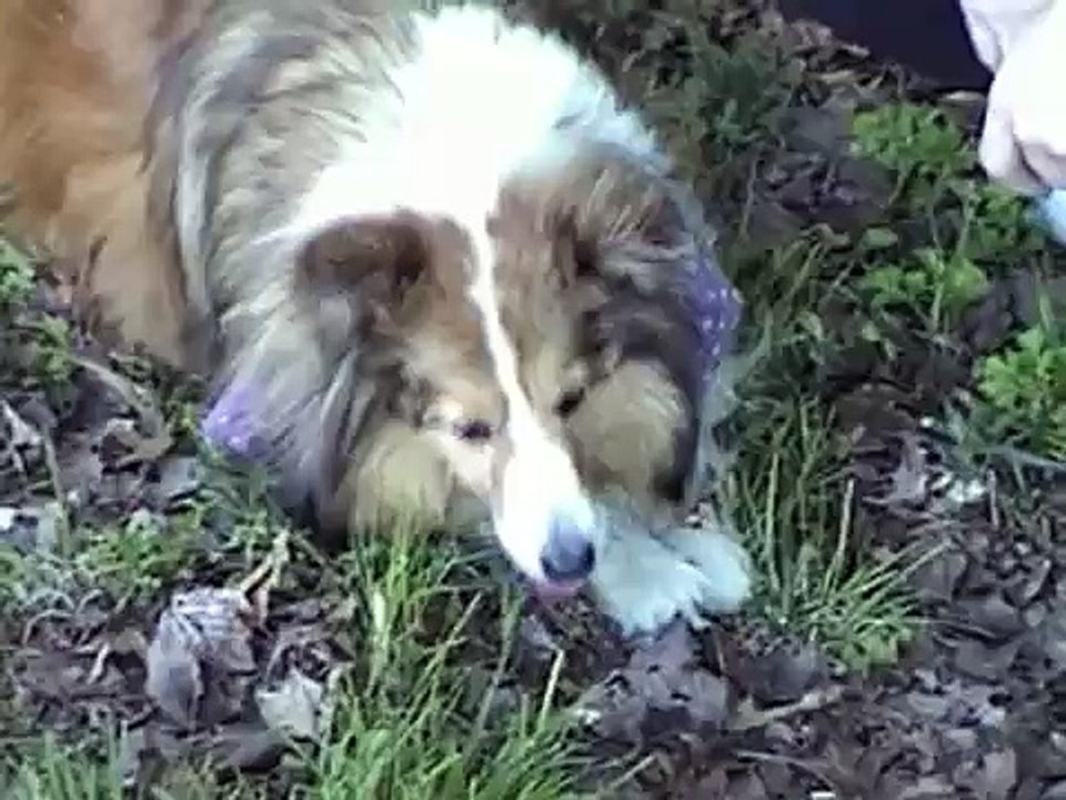 The Time Machine spoof