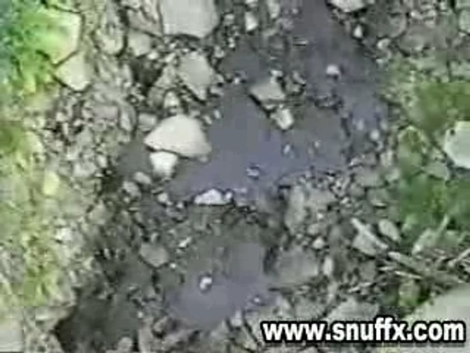 Regis - Saut a l'élastique