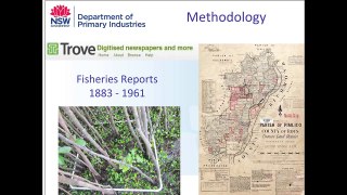 Patrick Dwyer: Historical harvesting of River Mangrove for use as 'oyster sticks' in NSW.