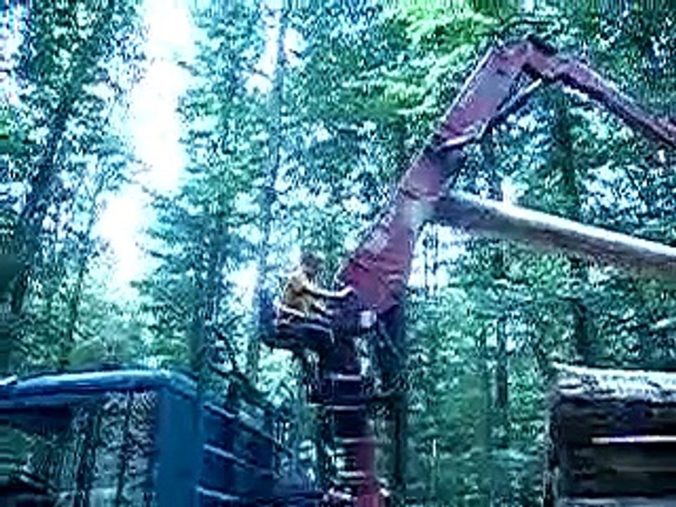 Jan beim langholzladen