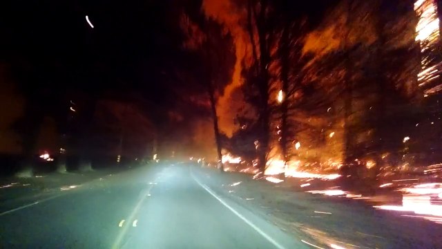 La Californie atteinte par des feux de forêts