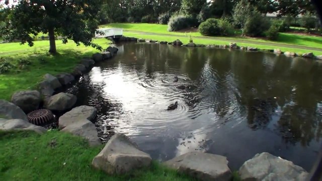 2010-09-01: Day 01: Iceland Tour: USA to Iceland