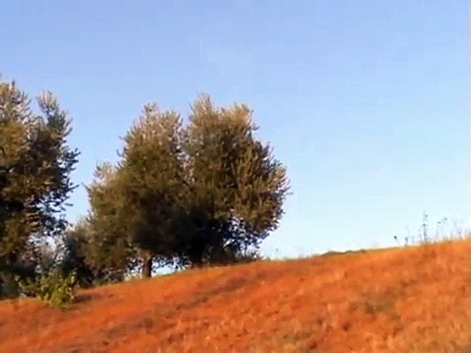 Le Cerreta - Lariano (Rm)