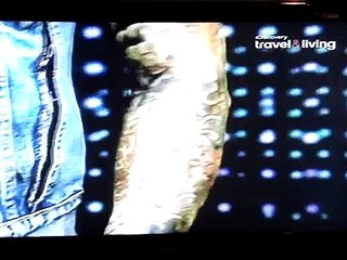 LA INK & MIAMI INK (Travel & Living)