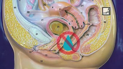 Medical Videos  how to take care of your vaginal health