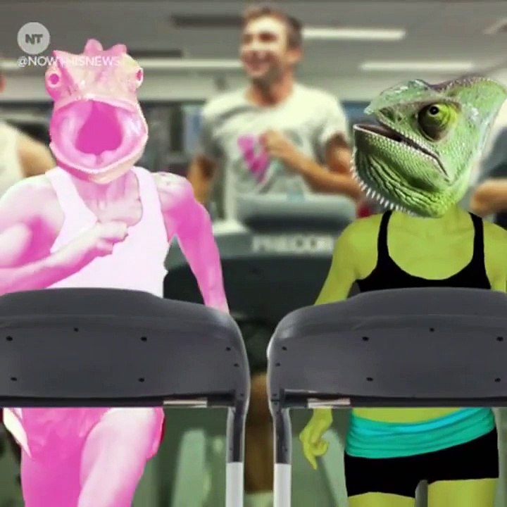 NEW Best Vines for SCIENCE AND TECH - March 12, 2015 Thursday