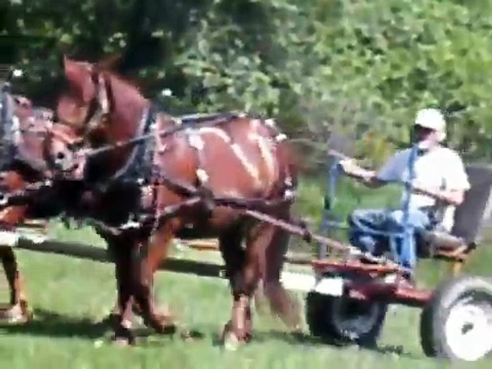 Jason and Carl dragging pastures spring 2012.wmv
