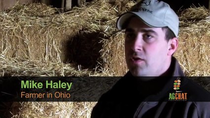 Mike Haley - Strategic Campaigns