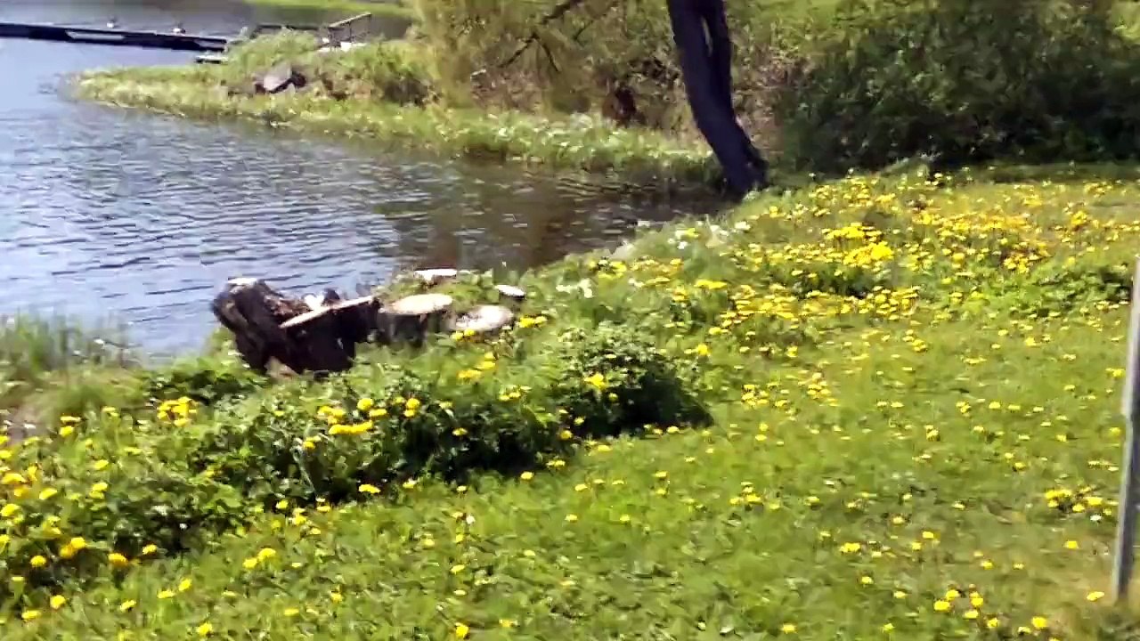 Trip to Aulanko landscape tower , 22.5.2011, Hämeenlinna, Finland
