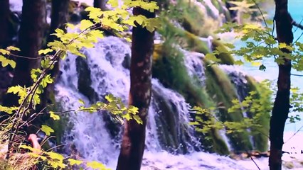 Dream - Summer Lookbook ‖ Short Film