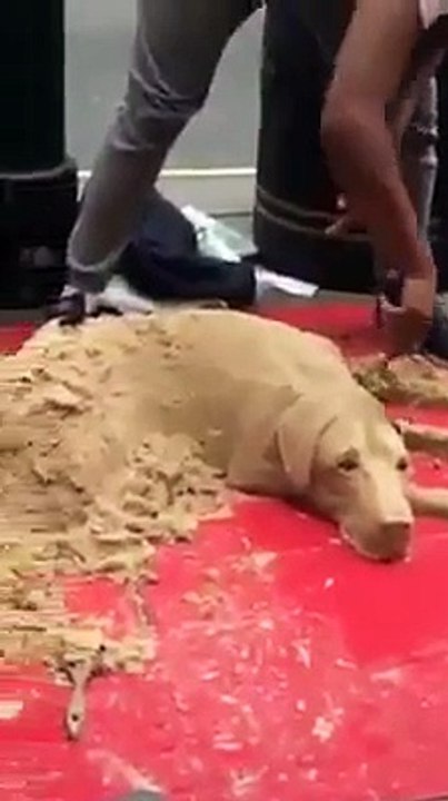 Sculpture de sable