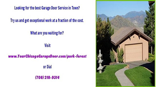Park Forest, IL Garage Door Repair Services
