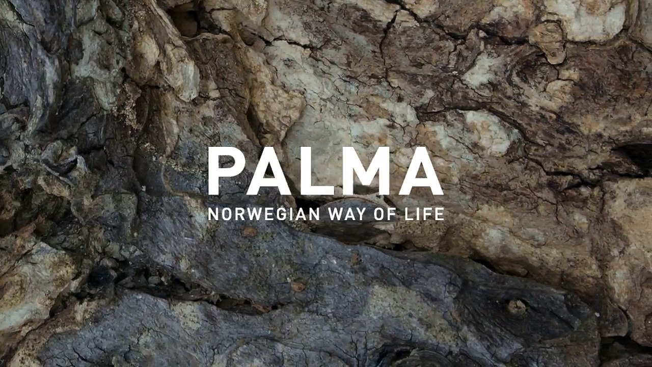 PALMA Trender #1 – Forest Fairytale