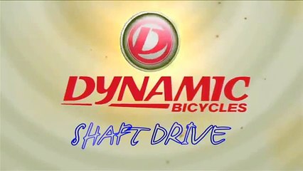Dynamic Bicycles' Shaft Drive System