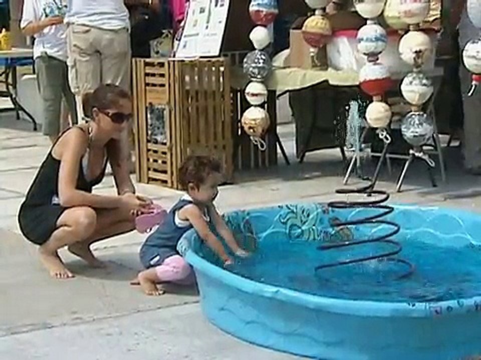 UF Extension 2009 - South District