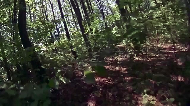 Hardcore, un film d'action tourné en POV (Trailer)