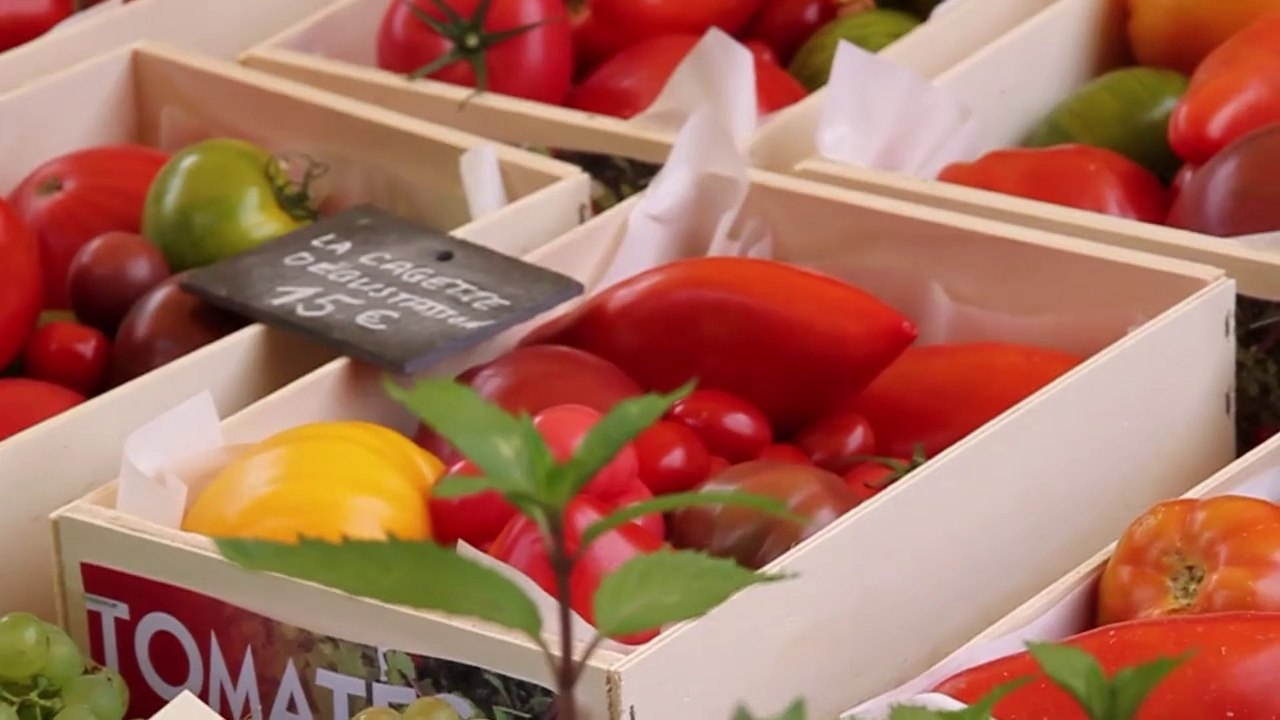Festival de la tomate 2015