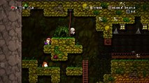 Hired hands are the best feature of Spelunky