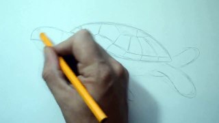 How to Draw a Sea Turtle Tribal Tattoo Design Style