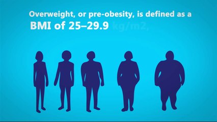 Understanding Obesity: Causes & Effects