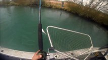 Salmon and Trout Fishing in Canterbury  New Zealand