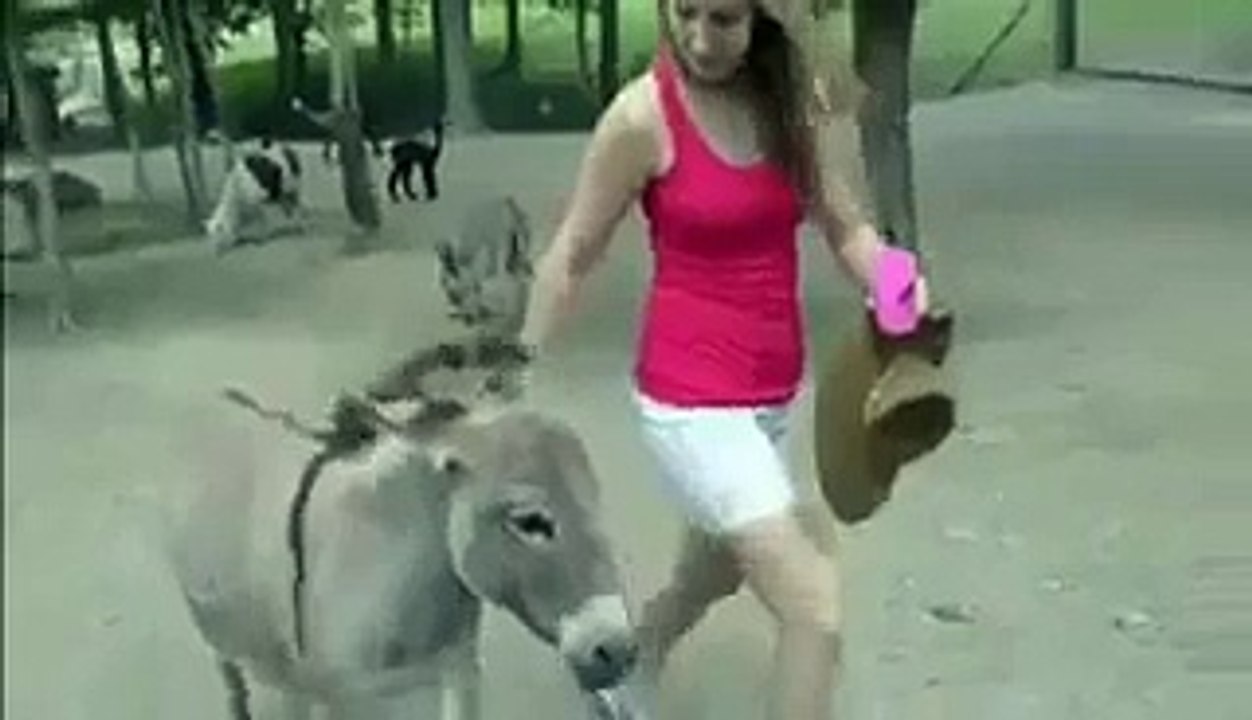 گدھا لڑکی کی محبت میں عجیب و غریب حرکتیں کرنے لگا ...