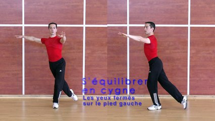 ARTISTIQUE -  EFPA - ROULETTE DE DIAMANT - SANS PATINS - GUILLAUME WATTRE