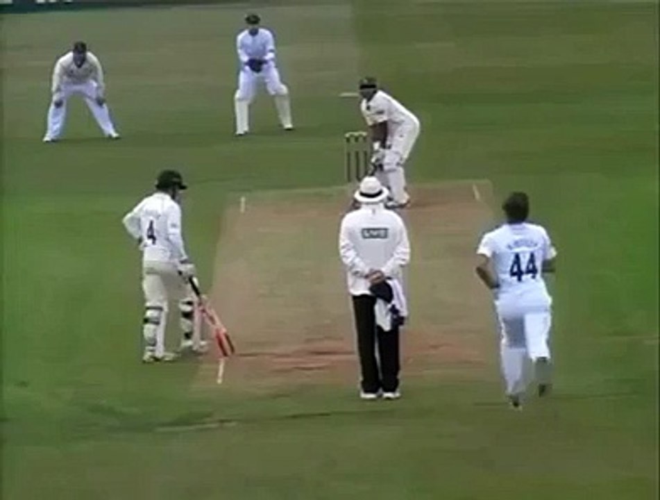 Cricket Funny