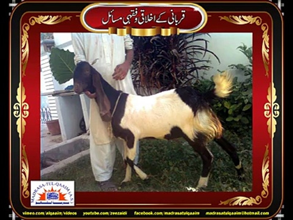 کونسا جانور قربان کریں اور انکی عمر کتنی ہو؟
