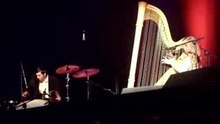 Joanna Newsom Cosmia live