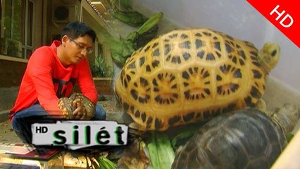 Lucky Hakim Tambah Koleksi Kura-kura Madagaskar - Silet 14 September 2015