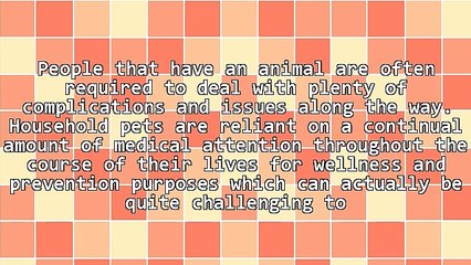 Choosing The Right Vet Near Brentwood