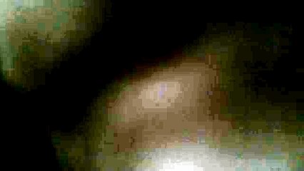 Some kid fails at dunk funny