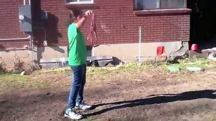 American bulldogs true love