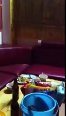 Cầu Vòng Sau Mưa - Anh Ba Khía