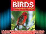 A Photographic Guide to the Birds of the Indian Ocean Islands: Madagascar Mauritius Seychelles