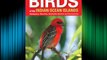 A Photographic Guide to the Birds of the Indian Ocean Islands: Madagascar Mauritius Seychelles