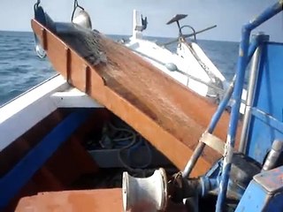 Pesca de corvina em Florianópolis BOTE SANTA CLARA IV