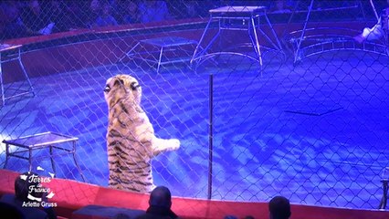 Terres de France - Visite au Cirque Arlette Gruss (partie 1)