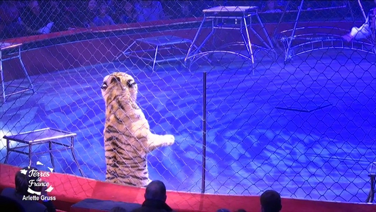 Terres de France - Visite au Cirque Arlette Gruss (partie 1)