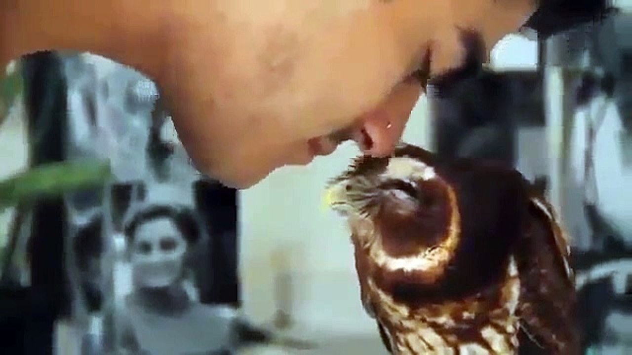 Eskimo selam veren bayku