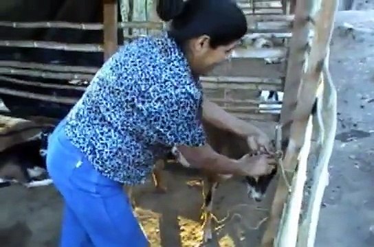 Amucayan, las esperanzas no llenan pero se mantienen