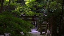 Oyamazumi Shinto Shrine Kyoto Japan  大山祇神社 北白川 Full HD