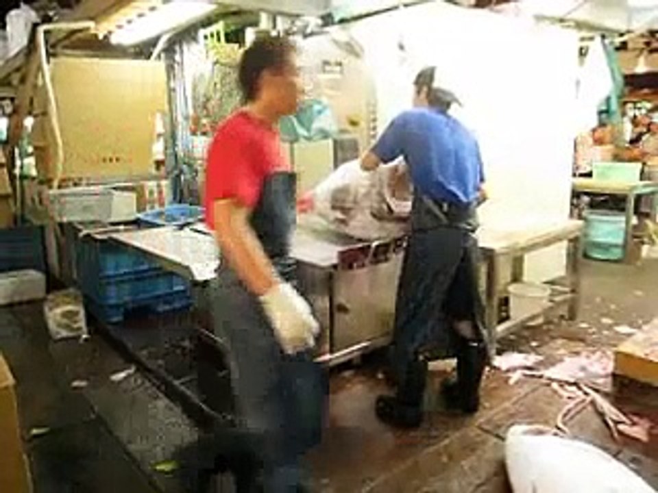 Tuna Processing at Tokyo Fish Market