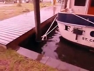 Fat Chance Surviving Hurricane Irene in Belhaven, NC