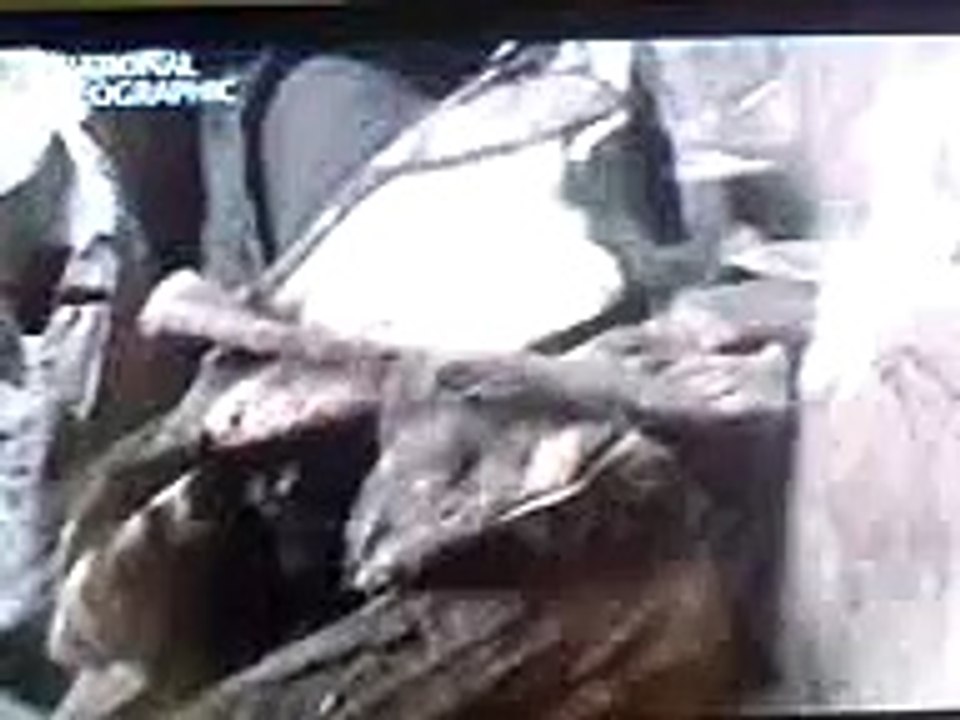 Human sacrifice in Ancient Egypt