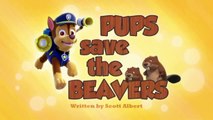 New Cartoon Bangla || Pups Save the Diving Bell - Pups Save the Beavers